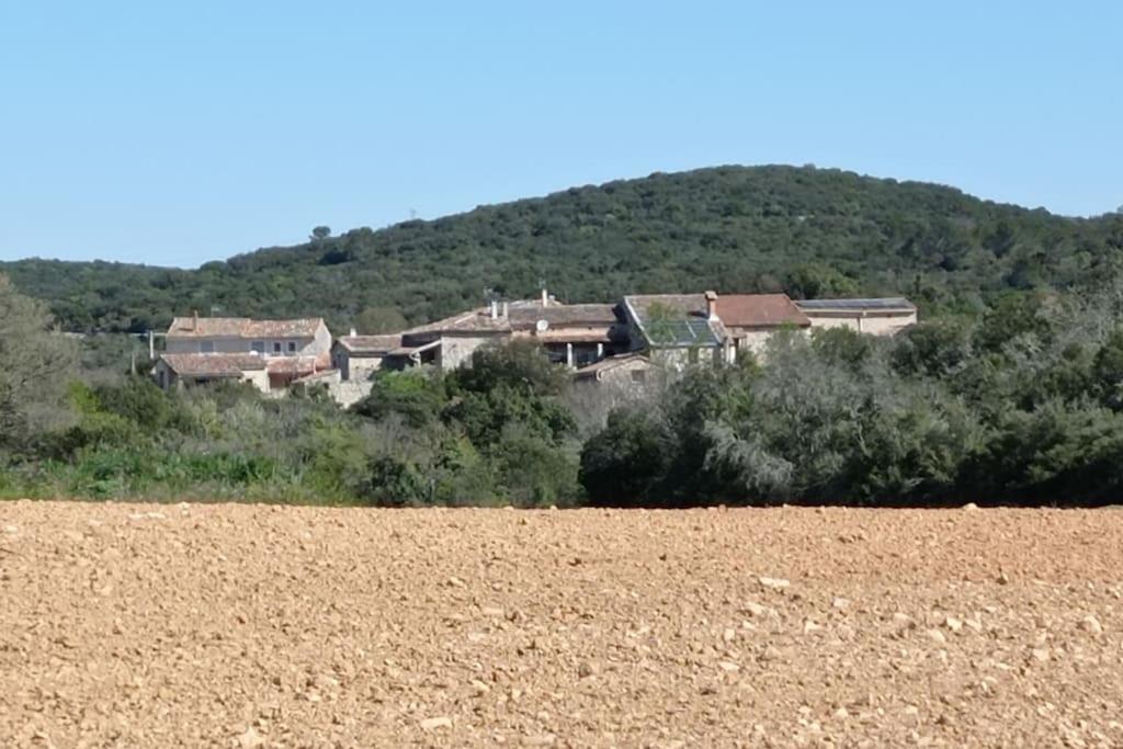 Gites Du Mas Champion - Piscine, Soleil, Nature & Calme - Groupes Saint-Just-et-Vacquieres ภายนอก รูปภาพ