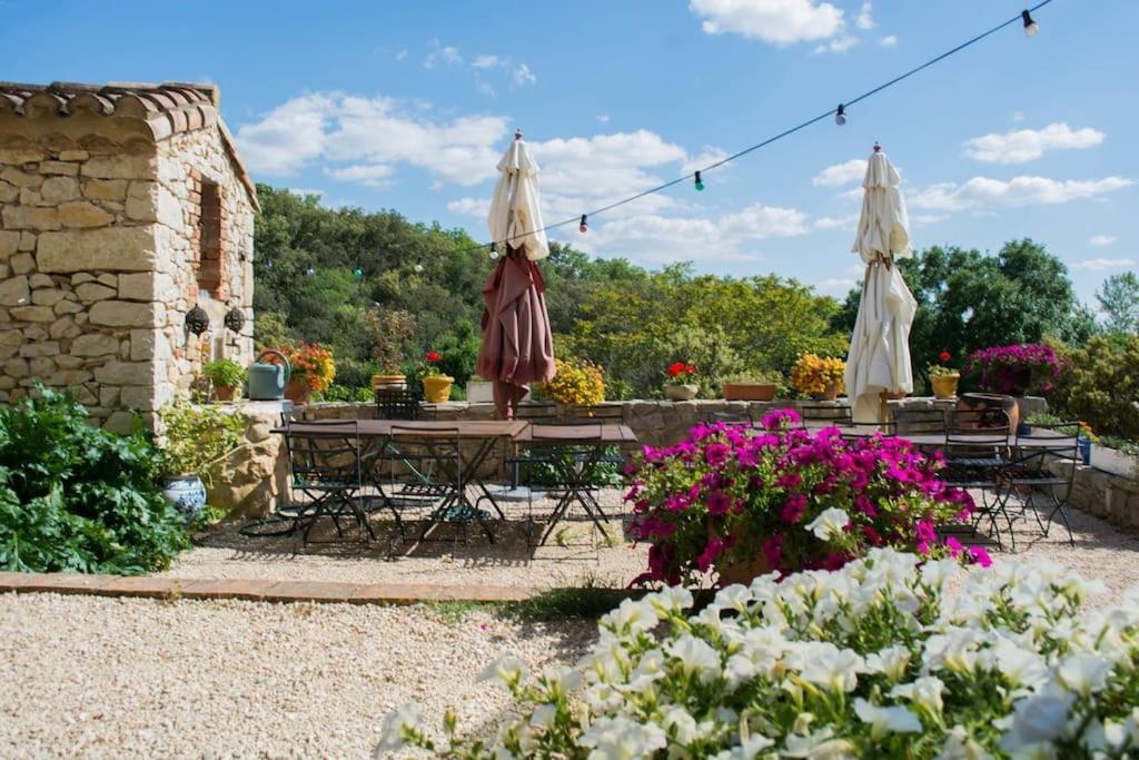 Gites Du Mas Champion - Piscine, Soleil, Nature & Calme - Groupes Saint-Just-et-Vacquieres ภายนอก รูปภาพ