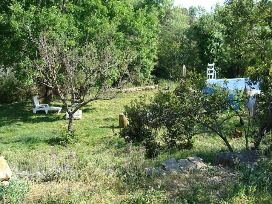 Gites Du Mas Champion - Piscine, Soleil, Nature & Calme - Groupes Saint-Just-et-Vacquieres ภายนอก รูปภาพ