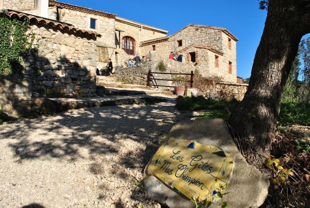 Gites Du Mas Champion - Piscine, Soleil, Nature & Calme - Groupes Saint-Just-et-Vacquieres ภายนอก รูปภาพ