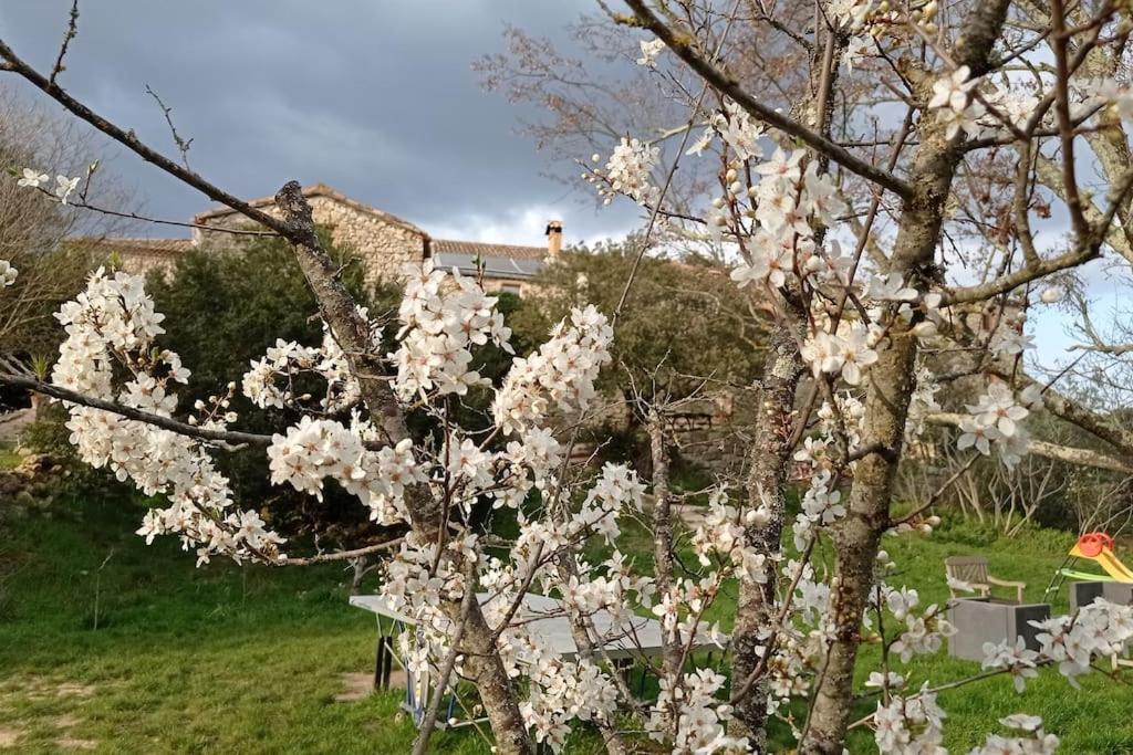 Gites Du Mas Champion - Piscine, Soleil, Nature & Calme - Groupes Saint-Just-et-Vacquieres ภายนอก รูปภาพ